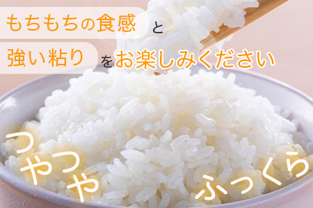 【R5年産】 多良木町産 にこまる 5kg 均ちゃん農園 多良木町 精米 白米 ご飯 お米 うるち米 008-0670