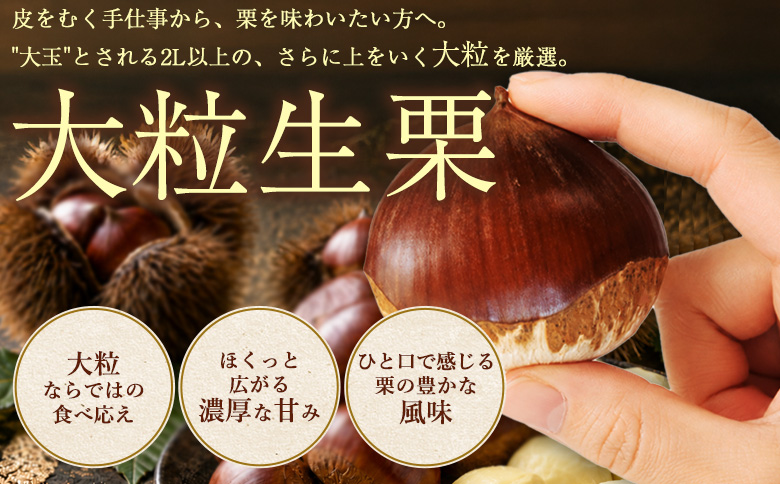 ＜大粒生栗 約1kg 3L～5Lサイズ＞『9月上旬から順次出荷予定』 和栗 生栗 くり皮つき おおつぶ 大きい 幻の栗 甘い 新鮮 栗ごはん 栗きんとん 渋皮煮 甘露煮 旬 国産栗 お取り寄せ 旬 特