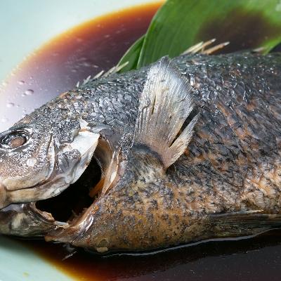 ふるさと納税 室戸市 初音の定期便!!年6回お届け【奇数コース】 |  | 02