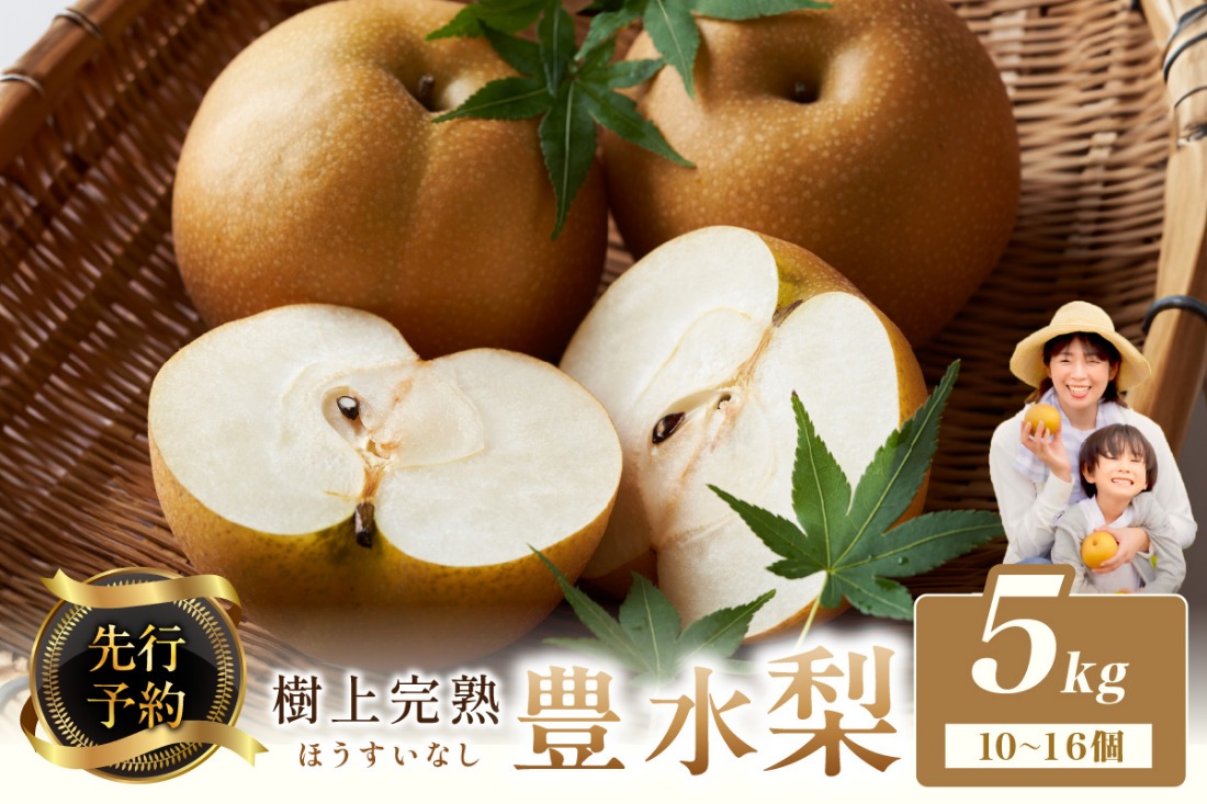 【先行予約】樹上完熟 豊水梨 5kg（10～16個）（2025年8月下旬～発送） BF00010
