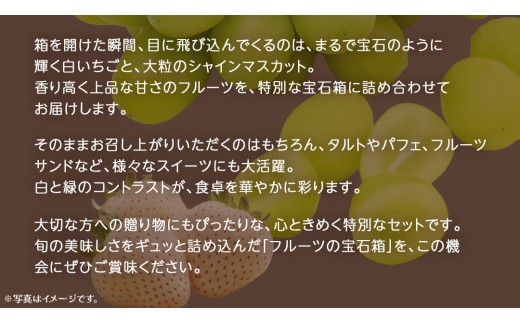 【 お歳暮 熨斗付き 】 白いちご と シャインマスカット の宝石箱 36粒 (茨城県共通返礼品：大子町) いちご マスカット 果物 フルーツ 旬 季節限定 期間限定 贈答用 ギフト 贈り物