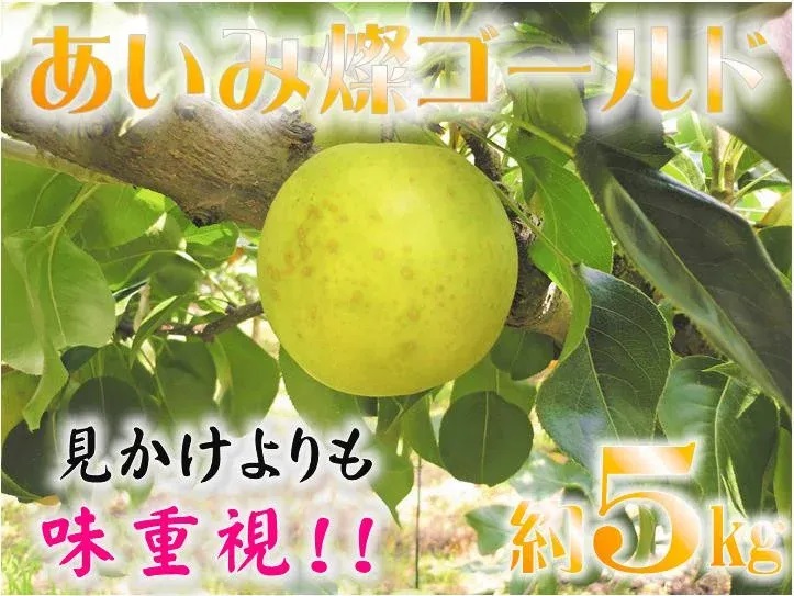 鳥取県産梨「サンゴールド（さんごーるど）」5kg