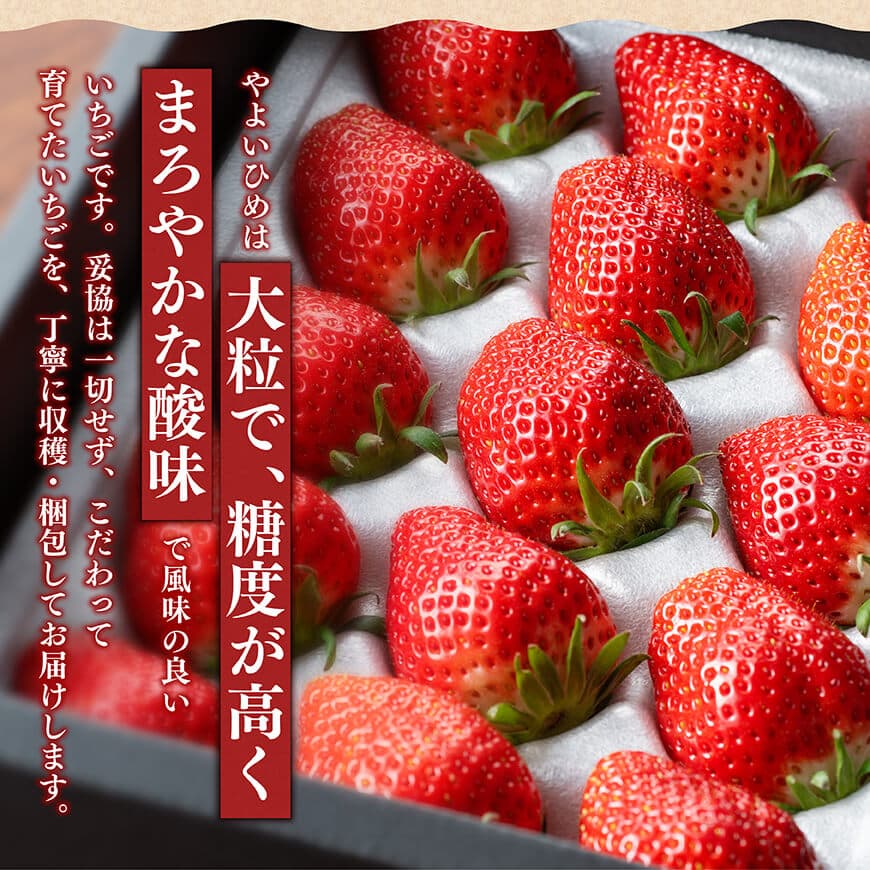 川南町産　いちご「やよいひめ」450ｇ【 期間限定 果物 イチゴ 苺 やよいひめ フルーツ 】[D11201]