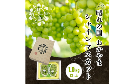 【先行予約　2025年9月上旬発送〜】岡山県産シャインマスカット 1.0kg（2〜3房）