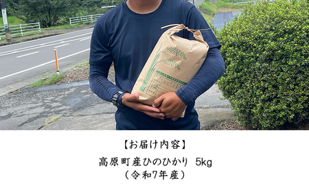 【令和7年産 新米】宮崎県高原町産 ひのひかり白米 5kg TF00854-P00079