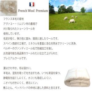 フランス産プレミアムウール100%　べットパット　クイーンサイズ160×200cm【1557435】