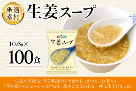 NATURE FUTURe 生姜スープ 100食