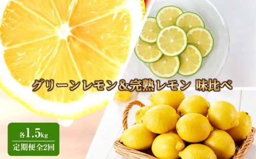 【期間限定】旬のレモンを味わう！グリーンレモン＆完熟レモン 味比べ定期便3kg (1.5kg×全2回)