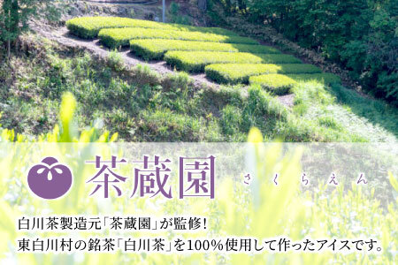 白川茶100％使用！東白川村産 お茶アイス 濃い煎茶＆ほうじ茶 8個セット アイス 10000円 一万円