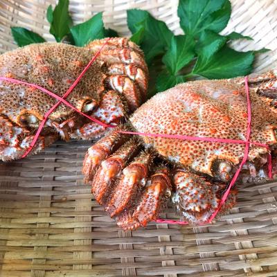 ふるさと納税 釧路市 北海道産毛蟹500g前後×4尾 カニ 毛ガニ 毛蟹 F4F-8641 |  | 01