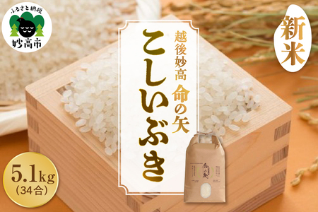 【先行予約】令和8年産 越後妙高命の矢 こしいぶき 5.1kg 新潟県 上越 妙高産 米どころ 白米 精米 コメ お米 こめ ご飯 ごはん ライス 弁当 小分け 大容量 お取り寄せ 送料無料 妙高市