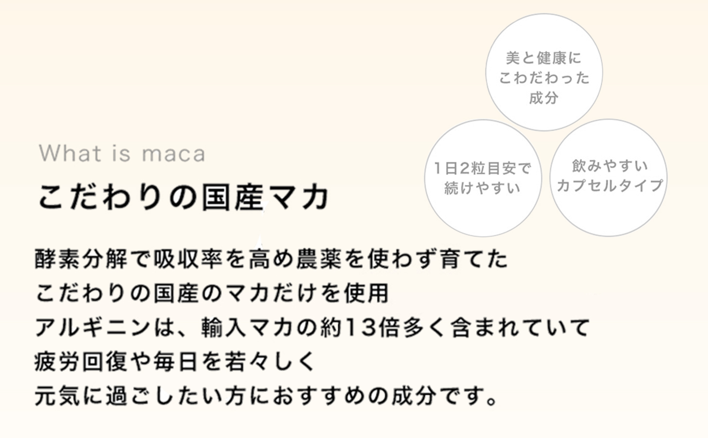 【定期便6ヶ月】tierra5（2個）1セット×6回 【素材の力を、丁寧に届ける】 マカサプリ 国産マカ 酵素分解マカ 植物由来成分 カプセルサプリ 日本製サプリ 女性向け モリンガ ハトムギ 山葡萄