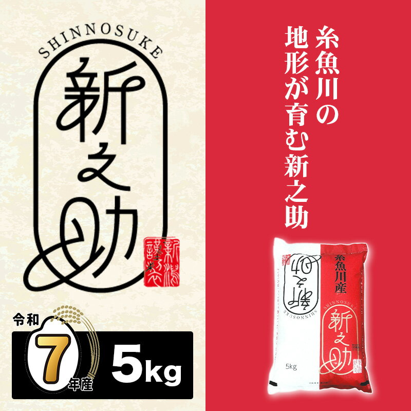 【ふるさと納税】 新潟産新之助 5kg《令和7年産》 【しんのすけ 農家直送 糸魚川 令和7年産 2025年産 米どころ新潟 米作りのプロ 地元農家 JA 自信作！ 美味しい 農家自慢 お米 白米 おにぎり お弁当 新潟県の新ブランド米】