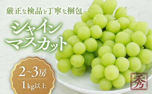 【2025年発送分】 こだわり シャインマスカット 2～3房 1kg以上 先行予約 先行 予約 山梨県産 産地直送 フルーツ 果物 くだもの ぶどう ブドウ 葡萄 シャイン シャインマスカット 新鮮 人気 おすすめ 国産 贈答 ギフト お取り寄せ 甘い 皮ごと 山梨 甲斐市 CD-1