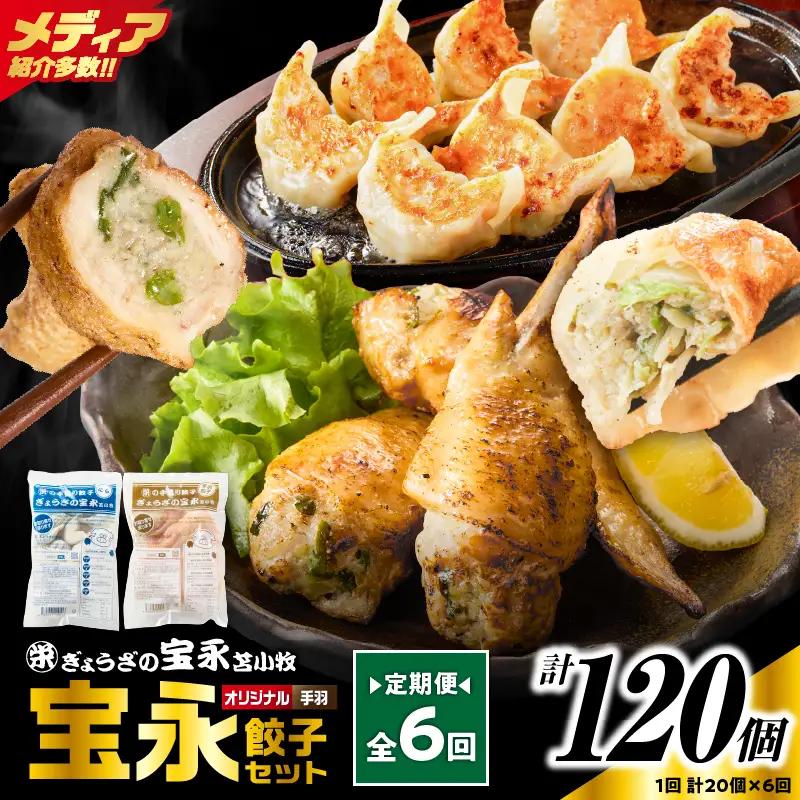 【定期便・全6回 毎月】手包み餃子 ぎょうざの宝永 手羽餃子20個セット（宝永餃子15個入×1袋・手羽餃子5個入×1袋） T004-T06-01-04 定期便 定期 惣菜 総菜 餃子