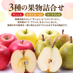 【2026年産】サンふじ&シナノゴールド&ラフランス5kg秀品 りんご