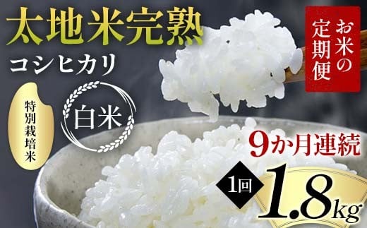 【先行予約】お米の定期便 特別栽培米 太地米完熟 【こしひかり】 白米1.8kg×9か月連続 ブランド米 お米 精米 白米 人気 F7X-0686