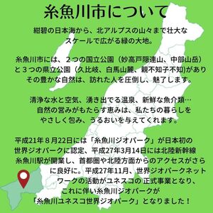 謙信＆根知男山 720ml x 各1本 純米吟醸酒 飲み比べセット 糸魚川地酒 新潟県 