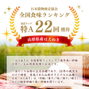 ＜ 2026年10月下旬より隔月3回 ＞【令和8年産 定期便】はえぬき計60kg！お米 定期便（20kg×3回）！清流寒河江川育ち 山形産はえぬき 2026年産　173-C-JA014-202610下