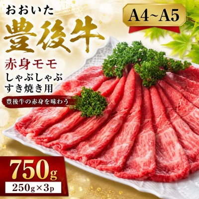 
                  ＜A4～A5＞おおいた豊後牛赤身モモしゃぶしゃぶすき焼き用 750g(250g×3p)【1764410】
                