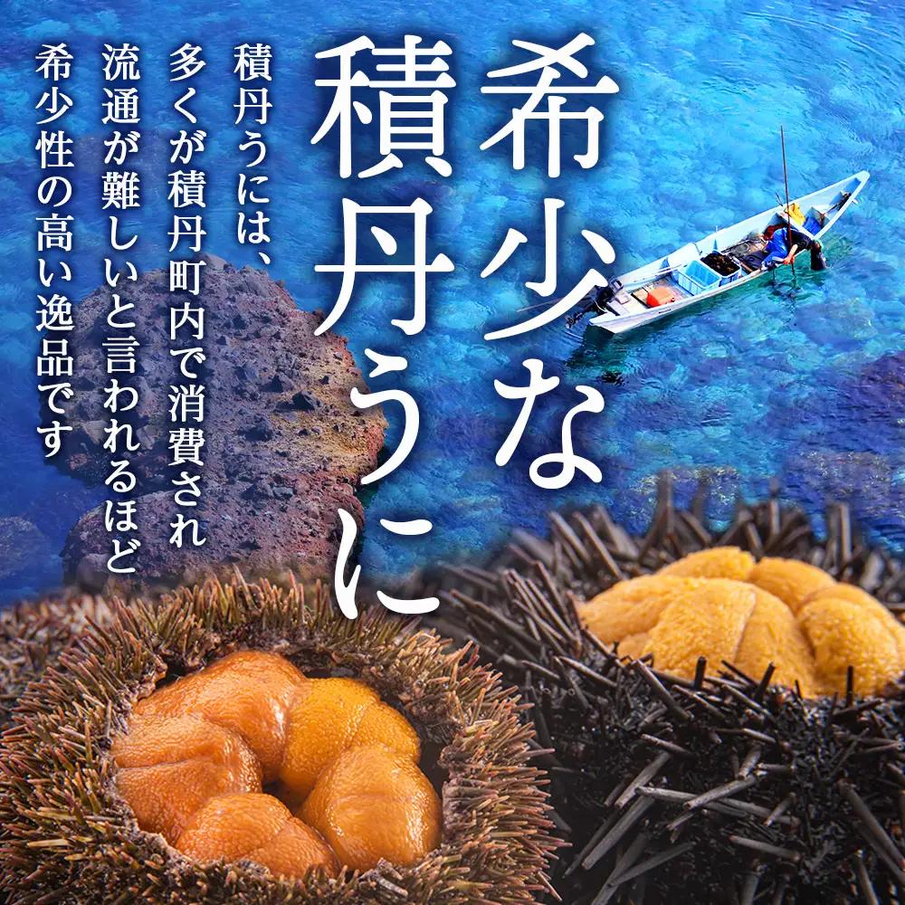【2027年夏発送分】バフンウニ100g×2パック