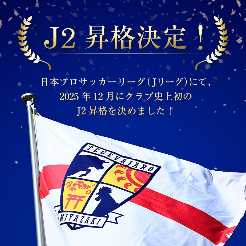 ＜寄附のみ＞ 返礼品なし いちご宮崎新富サッカー場 改修整備 1口 30,000円 J2昇格 テゲバジャーロ宮崎 サッカー Jリーグ J2 スポーツ 社会貢献 地域活動 応援寄附 サポーター【S27】
