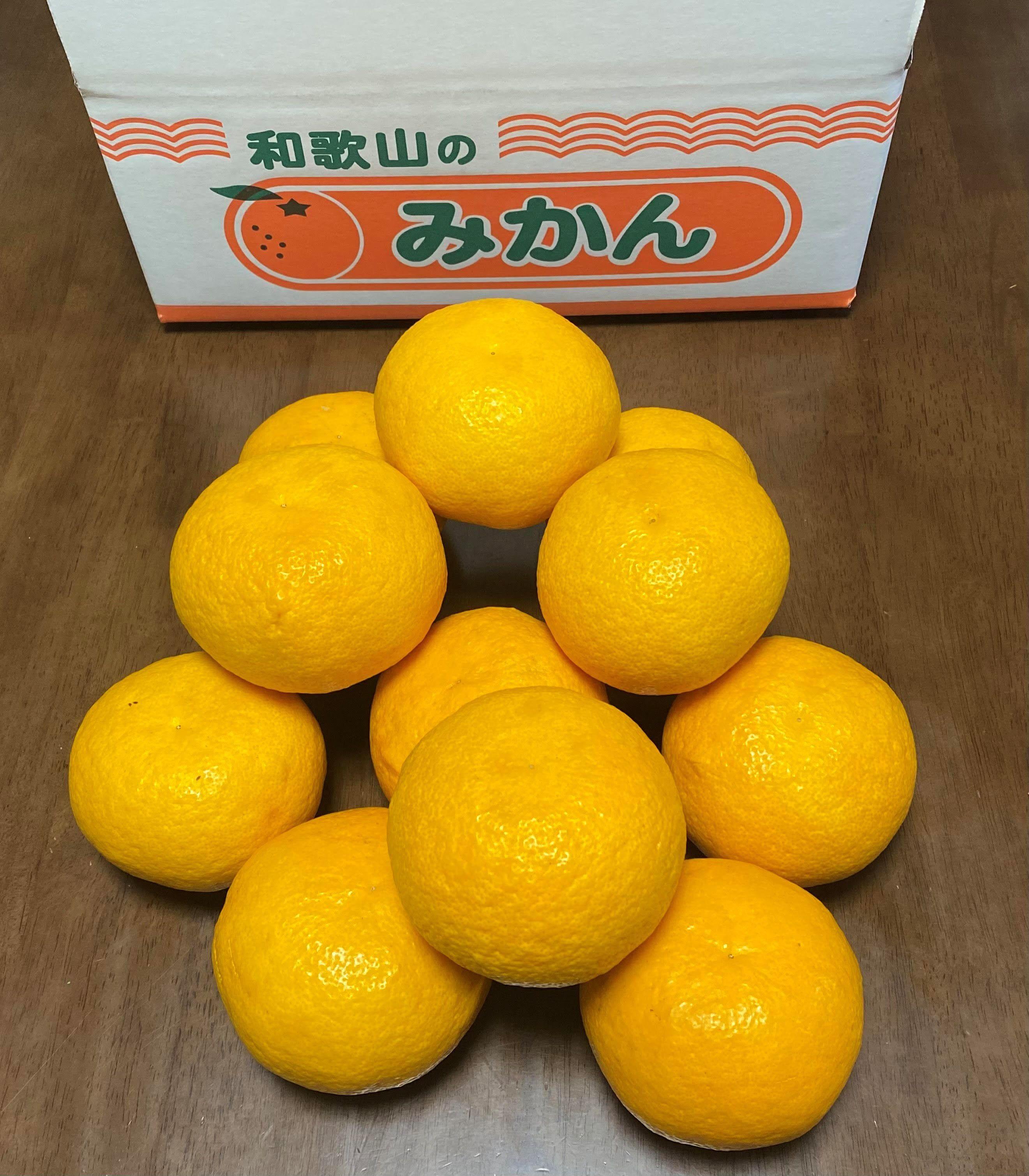 地元印南町産 樹熟 甘夏みかん 約7.5kg（20個前後） 大玉L～2Lサイズ