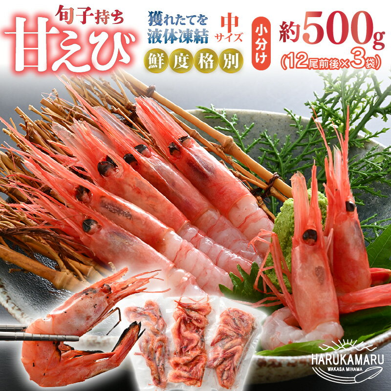 【ふるさと納税】【先行予約】旬子持ち甘えび 小分け 約500g【12尾前後 × 3袋】中サイズ 鮮度格別 獲れたてを液体凍結【2026年3月上旬以降順次発送予定】えび エビ 海老 甘エビ 甘えび 甘海老 人気 海鮮 お刺身 魚介 海鮮丼 生食 お造り 無添加 冷凍 急速冷凍 福井県産