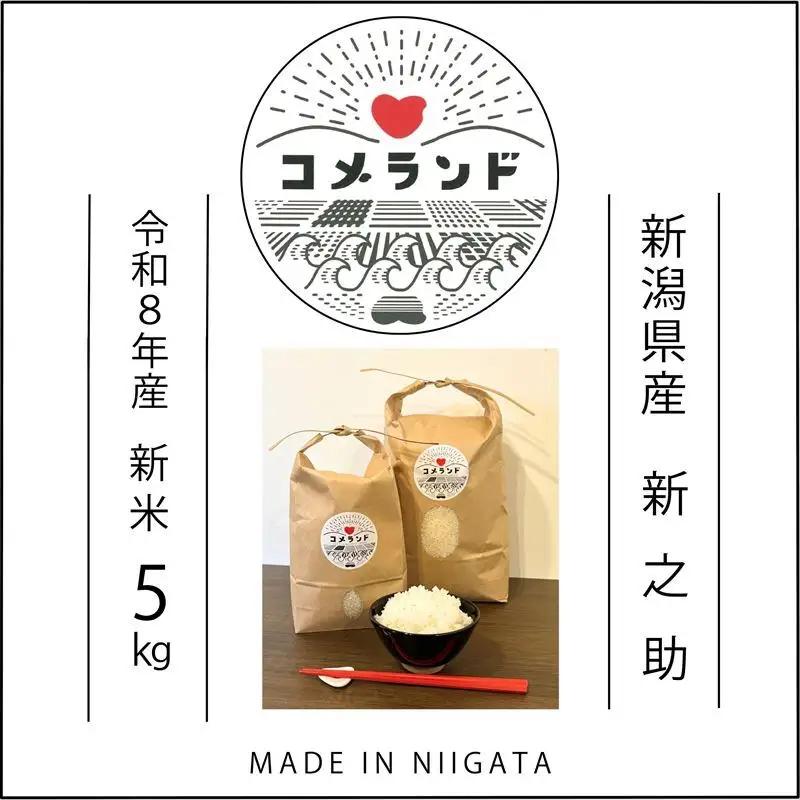 【先行予約】コメランド 新之助 精米 上越産 5kg 新之助