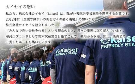 【思いやり型返礼品】カイセイ　山形県産 秘伝豆使用 秘伝豆ごはんの素 2合用 8袋 F2Y-5497