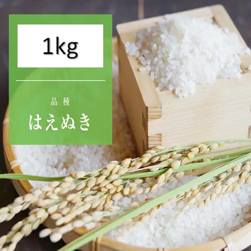 【令和8年産】 天日干しの手間をかけた (はえぬき) 丹野さん家のコメ 精米 1kg FY25-333