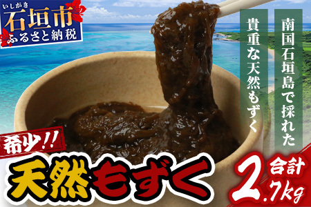 ＜先行予約＞石垣島産天然もずく６パック・内容量450g×6 合計2.7kg 《2025年3月上旬～順次発送》【 沖縄県 石垣市 天然 水雲 海藻 もずく フコイダン  常温保存 塩もずく 】SI-75