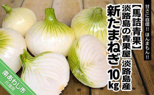 【淡路島の青果屋】淡路島産新たまねぎ　10㎏ 甘さに自信!!ほんまもん!!