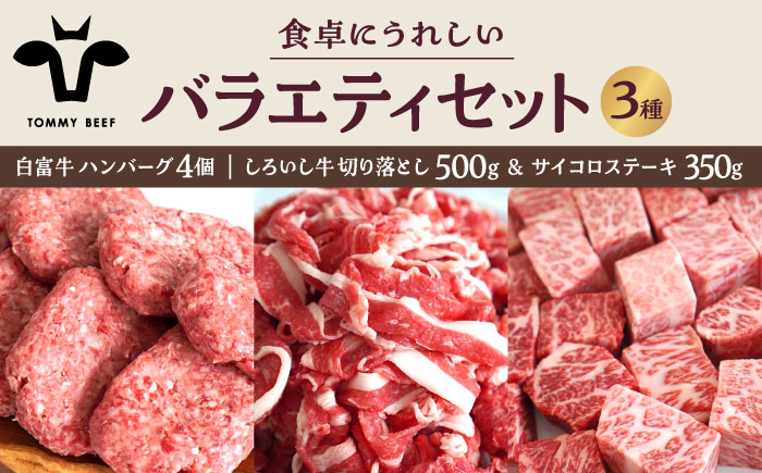 
【牧場直送】食卓にうれしいバラエティ セット（手ごねハンバーグ 4個＆切り落とし 500g＆サイコロステーキ 350g）【有限会社佐賀セントラル牧場】 [IAH192]
