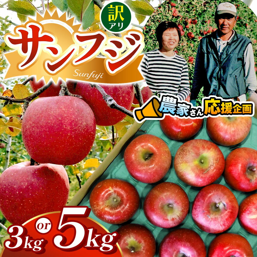【ふるさと納税】訳アリ　サンふじ　3kg～5kg | ふるさと納税 長野県 松本市 林檎 りんご リンゴ 訳あり サンふじ 信州産 季節限定 大容量