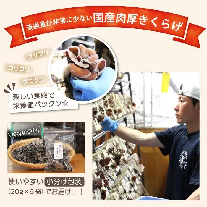 肉厚 乾燥きくらげ 小分け120g（20g×6袋）｜国産 長期保存「マッシュルームベッドハウス」