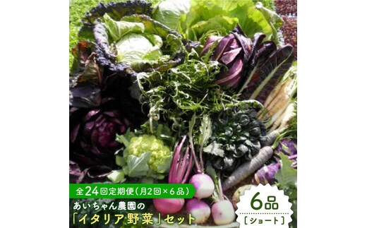 
										
										【6品 / 24回定期便】あいちゃん農園の「イタリア野菜」セット（ショート） [FAA015]
									