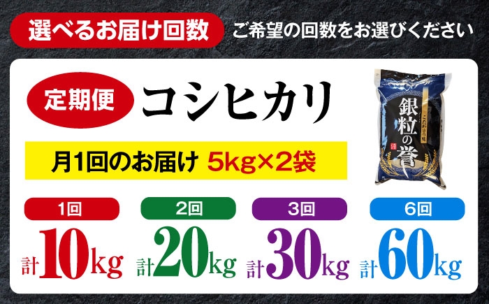 こしひかり 10kg 5kg×2袋 コシヒカリ お米 令和7年産 定期便