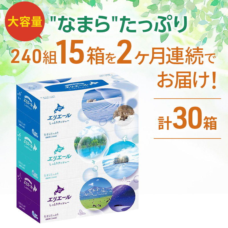 定期便 2ヵ月連続お届け エリエール ハーフサイズ 収納に便利 コンパクト 【少量5パック】 北海道 しっとりティシュー なまらたっぷり 240組3箱 5パック 計15箱 ボックスティシュー ふるさと
