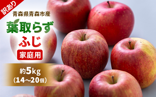 【訳あり】りんご 「葉取らずふじ」 (家庭用)約5kg(14～20個入)【配送不可地域：離島】