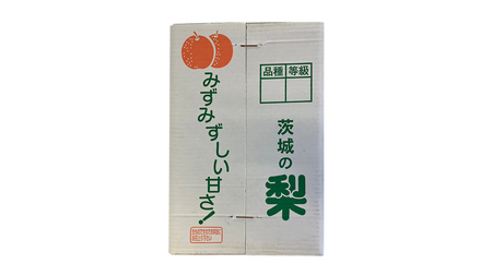【 2025年9月上旬発送開始 】 茨城県産 梨 秋月 （約 5kg ） 10～16玉 フルーツ 果物 なし ナシ 旬 新鮮 期間限定 甘い 国産 先行予約