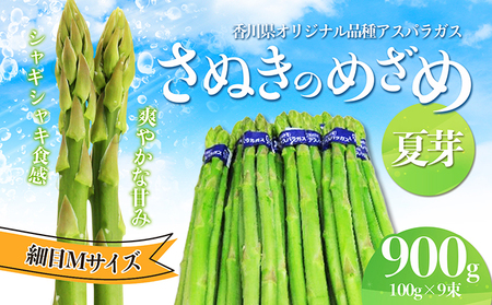さぬきのめざめ アスパラ 夏芽 さぬきのめざめ【900g M】