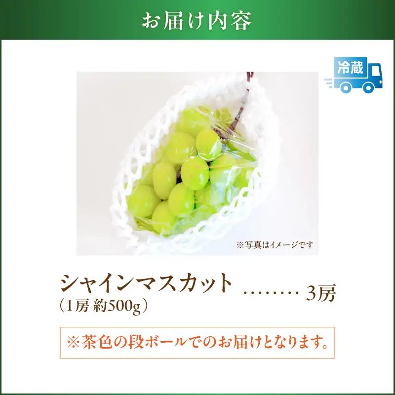 【 2026年先行予約 】【 桜島産 】シャインマスカット 3房 K261-001_03