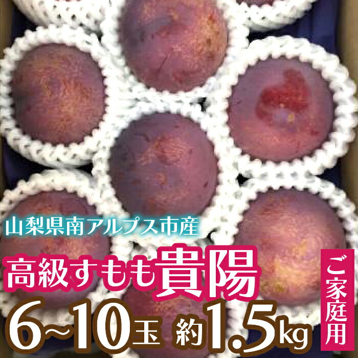 【ふるさと納税】 【ご家庭用】高級すもも「貴陽」約1.5kg（6～10玉） ふるさと納税 おすすめ 山梨県 南アルプス市 送料無料 ALPCZ016