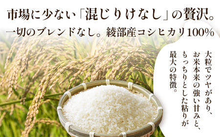 「丹波美人」 玄米 10kg（5kg×2） | 米 お米 こしひかり 玄米