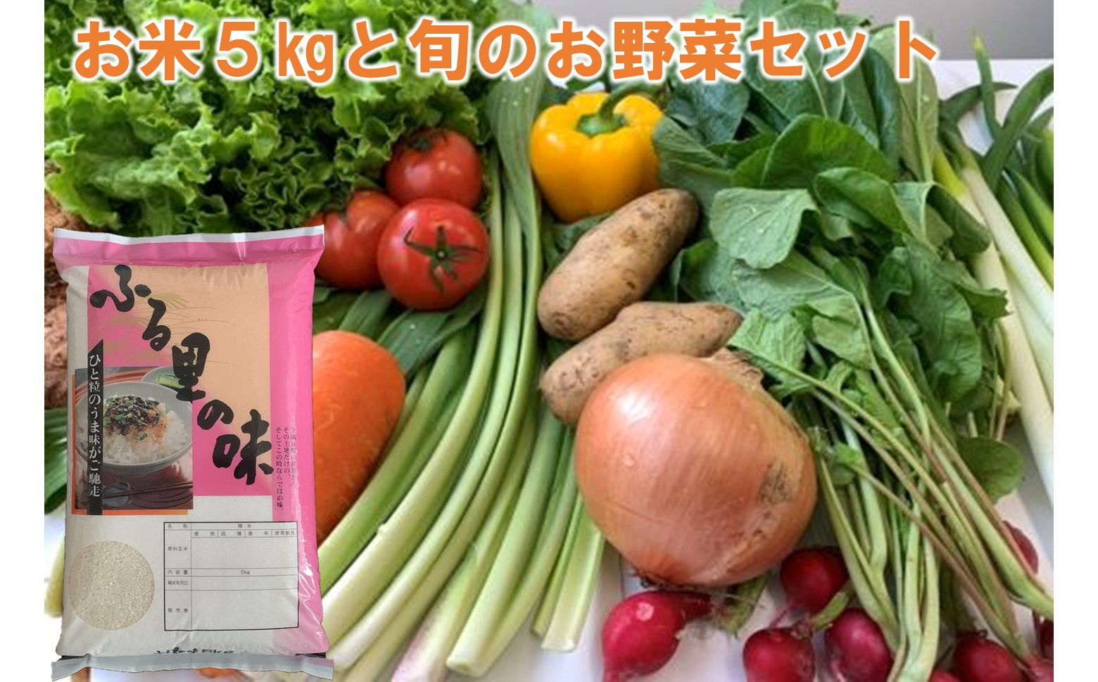 
【令和5年産】洋野町産あきたこまち5㎏・季節のお野菜おまかせセット
