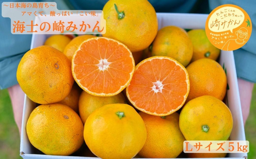 
            【期間限定】崎地区の崎みかん Lサイズ 5kg  約40個 期間限定 11月下旬より発送開始
          