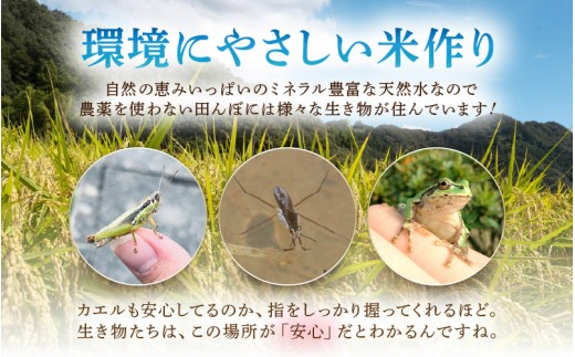 【先行予約】【令和8年産】伊与衛門農園の自然栽培米 コシヒカリ 玄米5kg×2袋（計10kg）＜温度と湿度を常時管理し新鮮米を出荷！＞ / 米 自然の力 高品質 鮮度抜群 ブランド米 福井県 あわら市