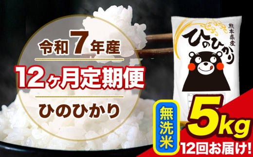 令和7年産 【12ヶ月定期便】 ひのひかり 無洗米 5kg 5kg×1袋 計12回お届け 熊本県産 こめ コメ 無洗米 精米 荒尾市 ひの 米 定期 《お申込み翌月から出荷》