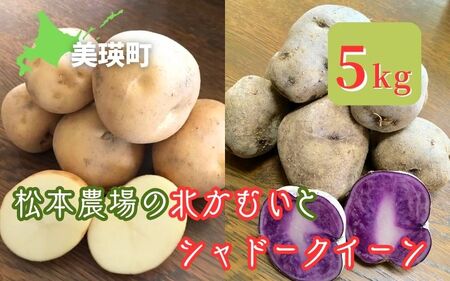 【令和７年産予約受付！】松本農場の北かむい＆シャドークイーン5kg | じゃがいも じゃがいも じゃがいも じゃがいも じゃがいも じゃがいも [009-31]